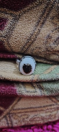 ناصريه • للبيع • سعر خاص