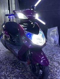 دراجه سكنس فحل للبيع السعر 750 قفل الرقم 07765622065