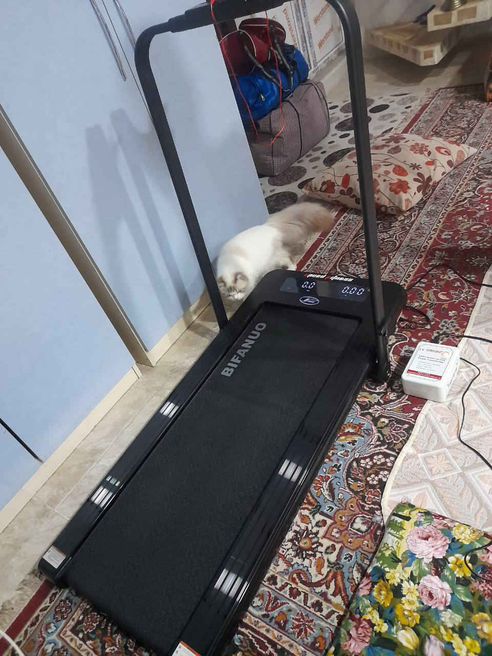 مرحبا / جهاز رياضي للجري جديد غير مستخدم اي استفسار ع الخاص رجاءا


**إذا كنت صاحب هذا الإعلان وتريد حذفه لأي سبب، رجاءا أرسل رسالة إلى الدعم الفني**