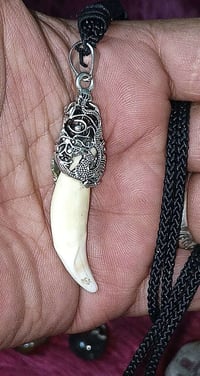 مگلد ناب الذيب الاصلي ذمة ذمة اصلي شرط الفحص الناب مروحن ومنجم وجاهز ل...