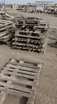 السلام عليكم
 للبيع سكيبات خشب في محافظةالديوانيه فعلى الراغبين بالشراء الاتصال 
***********
