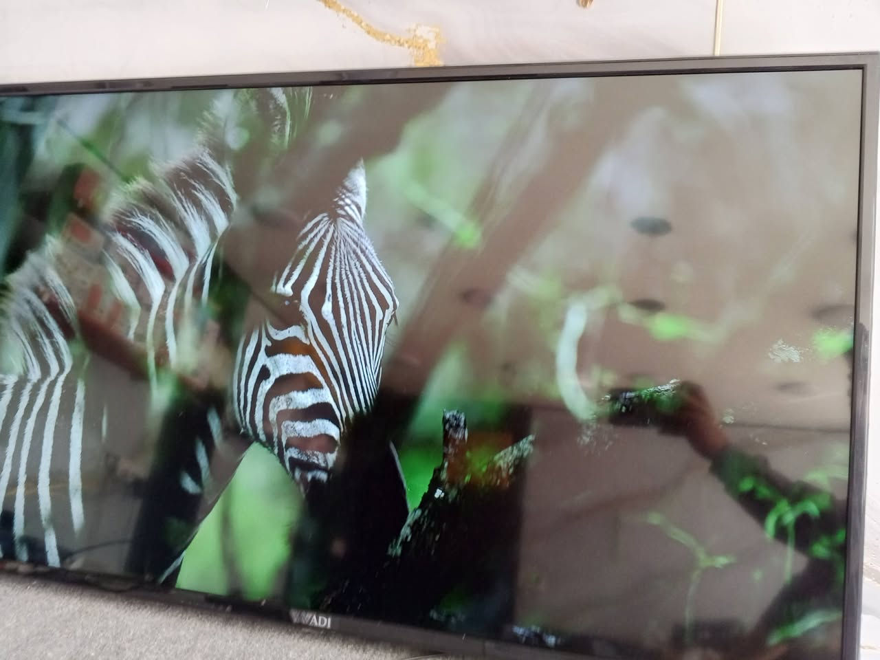 يا الله شاشه وادي حجم 50 4k نضافه 95 بل 100 حته كارتونته موجوده عنوان بغداد شكوك تفاصيل خاص


**إذا كنت صاحب هذا الإعلان وتريد حذفه لأي سبب، رجاءا أرسل رسالة إلى الدعم الفني**