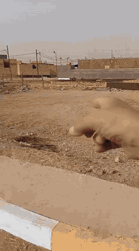 السلام عليكم..  معروض لدى مكتب الدفة للعقار عرصة زراعي في مجمع الحاج عزيز شريف خلف عمارات الزيتون.. المساحة ٢٣٠ متر الواجهة ١٠ متر والنزال ٢٣ متر.. عرض الشارع ١٢ متر والمنطقة مجهزة بالتبليط والماء والكهرباء. السعر ١٦ مليون مع المجال. الاتصال على الرقم *********** موجود واتساب.
