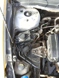 الانترا المقدس • ٢٠١٠ • وارد امريكي