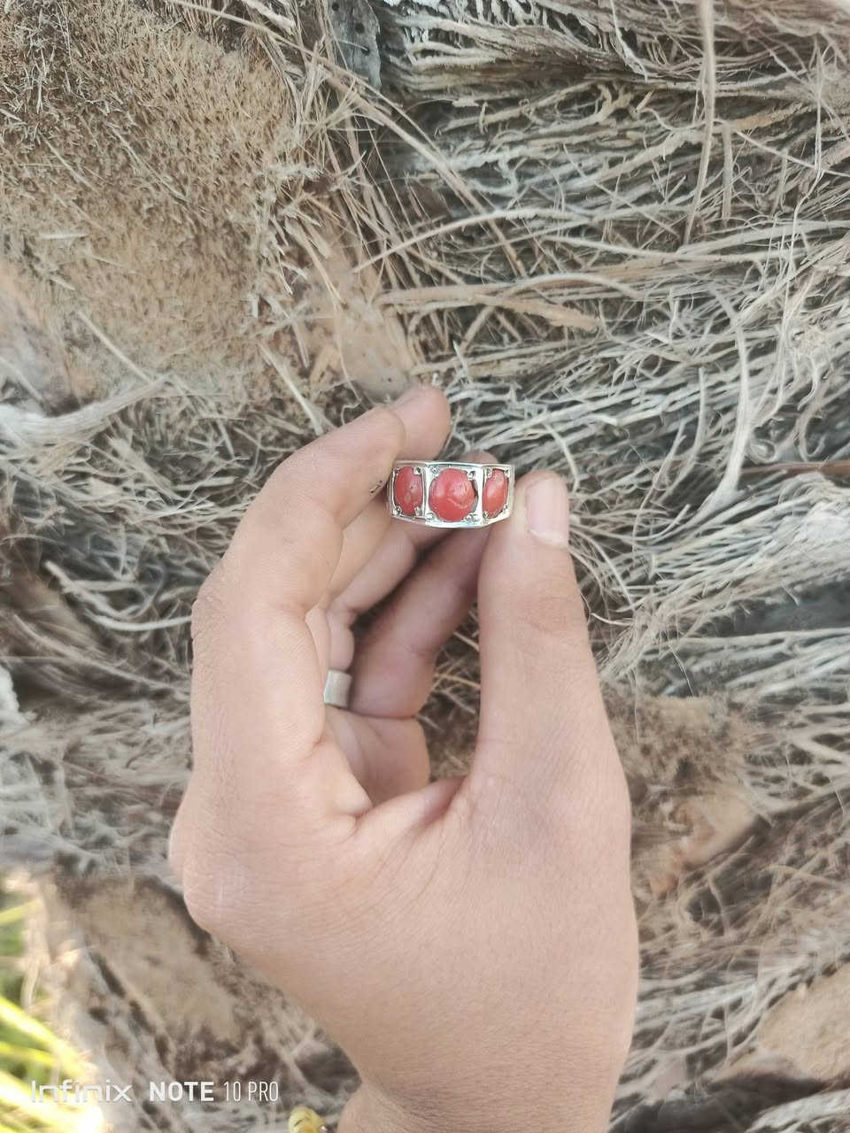 مرجان تونسي قديم
مكاني الشطره ***********
