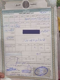 ٢٥٠م • شارع ١٠ • طابو صرف