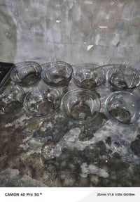 كاسه مقبلات جدد لقطعه  الف ونص عنوان سبع قصور شارع ابو علي  0777356516...