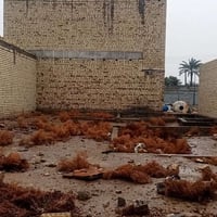 ستار الطوكي • ١٠٠م • مي وكهرباء