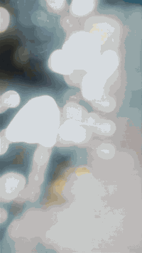 السلام عليكم يابا من رخصه الدمن هيوشه موديل 2017 أوراق منفيس كامله والنظافه ماشاءالله كدامكم فول نكره صلف+بصمه يعني تشغل وتتوكل السعر 725الف بي مجال بسيط بس الشراي يراسل 
***********
