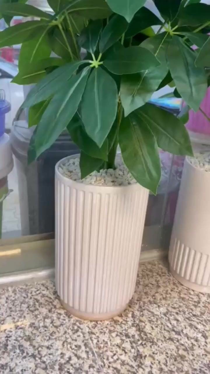 متوفر كميه محدوده


**إذا كنت صاحب هذا الإعلان وتريد حذفه لأي سبب، رجاءا أرسل رسالة إلى الدعم الفني**