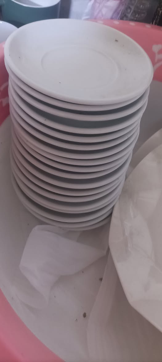 مواعين كل لي بصوره سعر ٢٥


**إذا كنت صاحب هذا الإعلان وتريد حذفه لأي سبب، رجاءا أرسل رسالة إلى الدعم الفني**