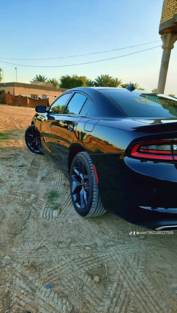 سلام عليكم دوج جارجر موديل 23,اصل منفيس بسمي ماشيه 30 مكفوله من دعاميه الدعاميه من قطر صبوغ بيه بس بنيد مبدل بلادي شرط محرك 3600  سنكل  ماتعد فلوس اله ماسوي سونار مكاني بابل حمزه الغربي وشراي يدلال ***********
