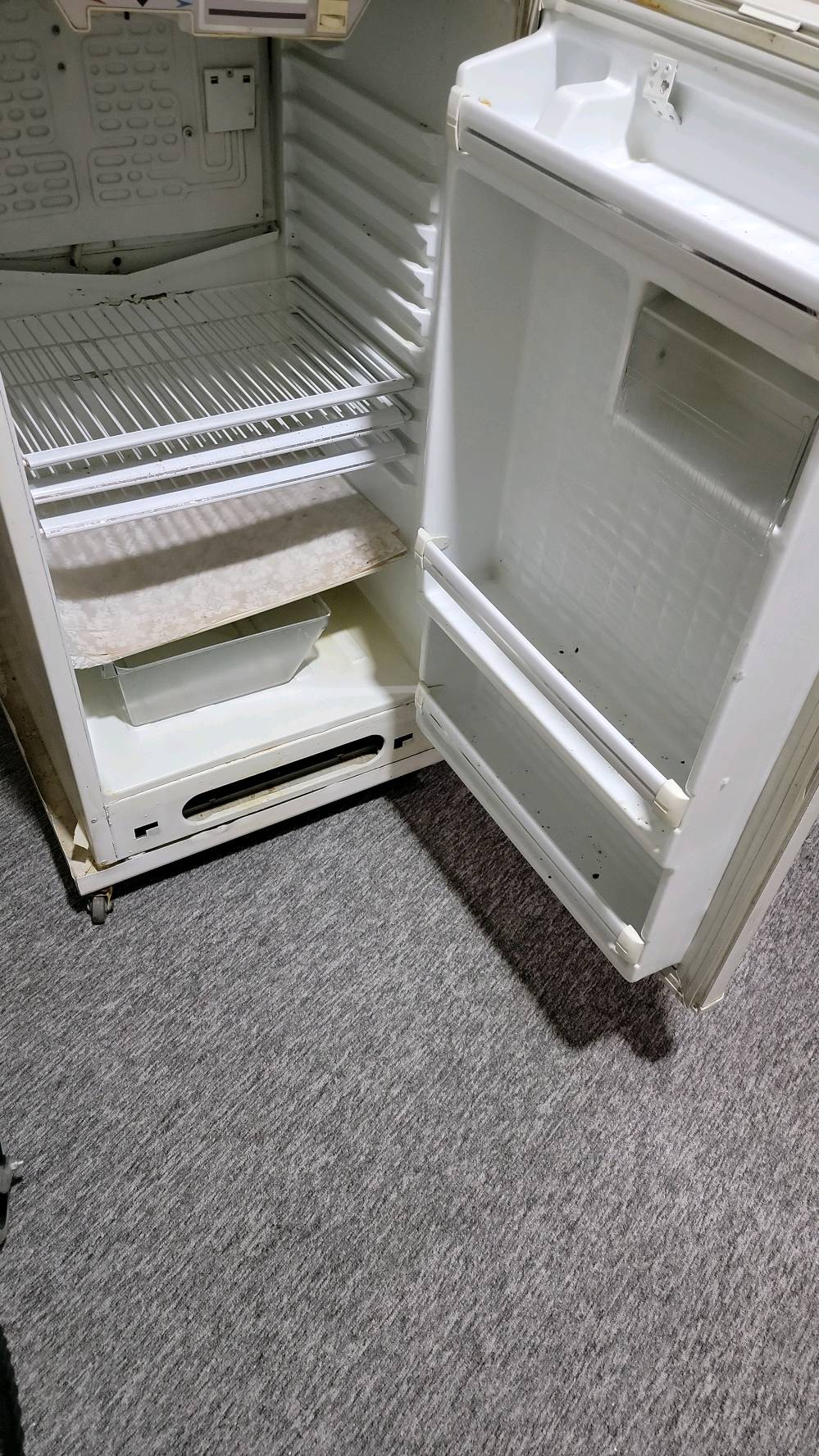 ثلاجة كونكورد للبيع بحالة جيدة. الحجم 18 قدم، مثالية للعوائل المتوسطة والكبيرة. نظيفة من الداخل وتعمل بكفاءة. السعر 130 دولار وقابل للتفاوض. للتواصل وللاستفسار، يرجى الاتصال بالرقم الموجود في الإعلان.