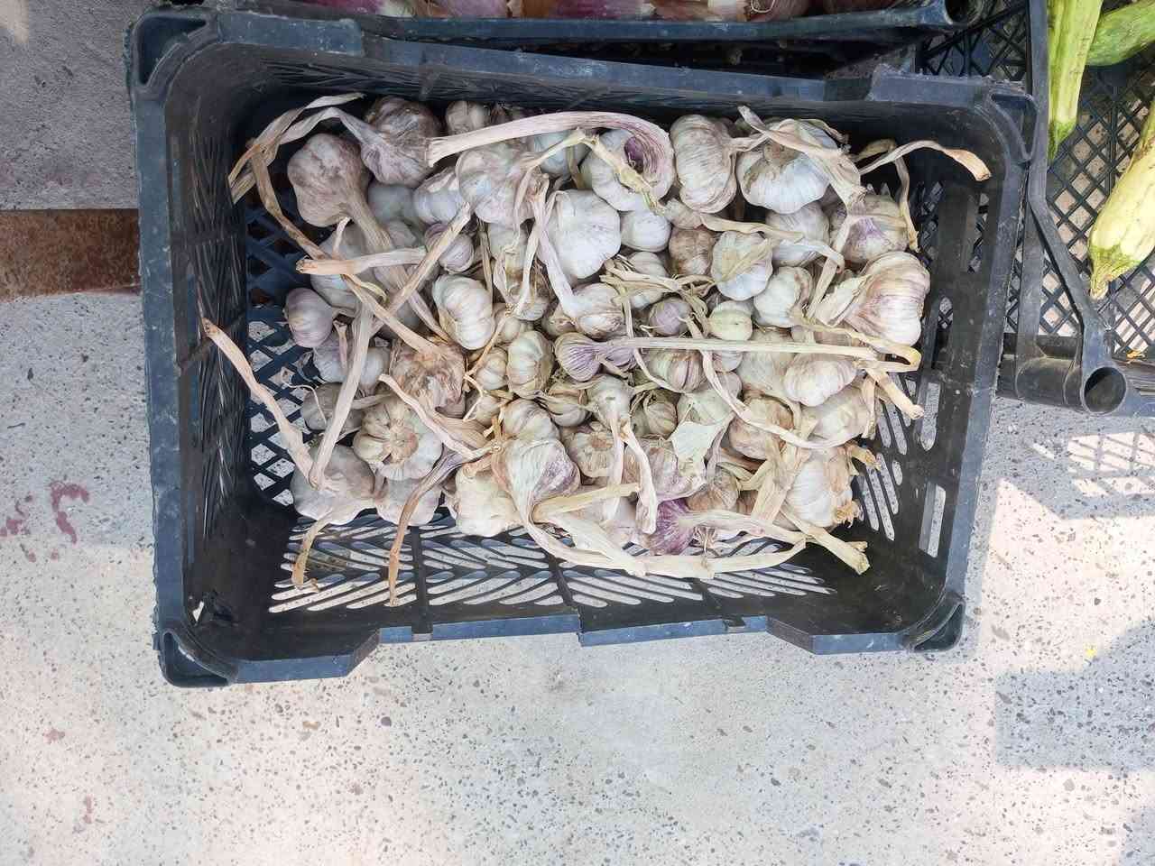 السلام عليكم مسواك جديد العنوان ناحيه الشوره بل قرب من مدرسه الشوره الاولى للبنين 
طماطه500
اسود500
بصل اصفر وكرستال 2/1250
بصل ازرك 1000
بطاطه 2/1250
خيار500
عنب1500
موز1750
باميه2500
الو1500
ليمون3000
ركي شرط 500
بطيخ درجه اولى500
سلج 500
خضره 250


**إذا كنت صاحب هذا الإعلان وتريد حذفه لأي سبب، رجاءا أرسل رسالة إلى الدعم الفني**