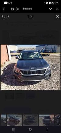 سيلتوس • فول فول • ٢٠٢٢