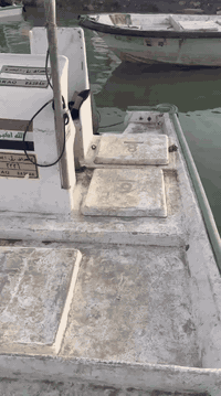 طراد للبيع تواصل واتساب ***********
