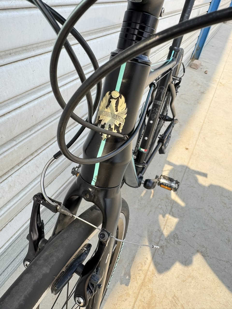 السلام عليكم اخوتي الطيبين 700 حجم 28 
قياس M فريم 50 cm ماركة ( Bianchi) ماركة 
عالمية صينع تايوان 🇹🇼 معدنه فول المنيوم سستم 
شيمانوا تورني نمره 3/8 بدلات شيمانوا حديث ويرات
دفن تايرات جلاتين WTB اطارات بلادي تفصيلهاا 
واضح اخواني سعرهاا 270 الف وبي مجال عنواني 
موصل جانب الايسر للتواصل *********** 
تتوفر خدمة توصيل جميع محافظات العراق وتحياتي
