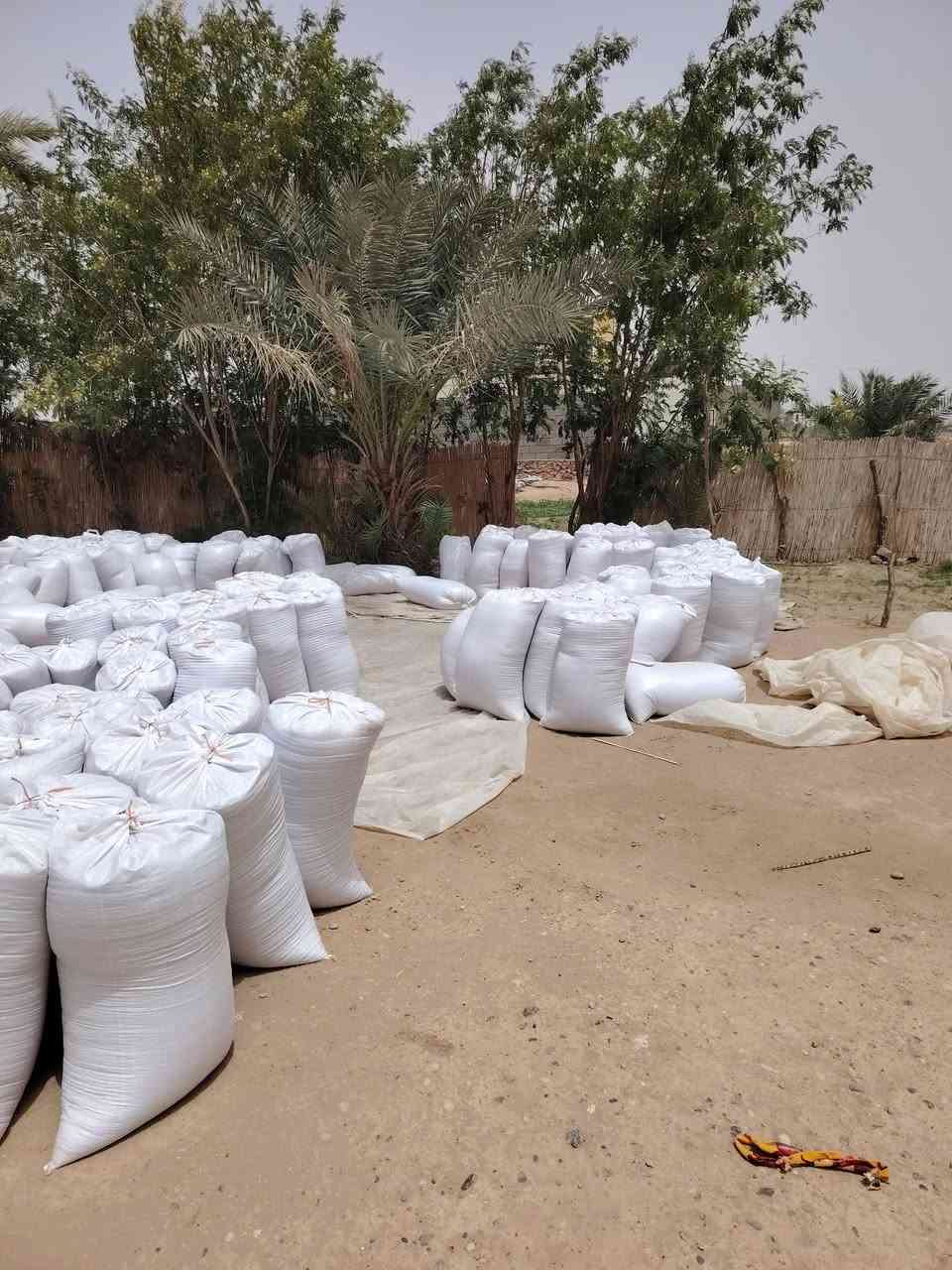 توجد بذور حنطه درجه ولى لبيع كميه خير من الله تواصل ***********
