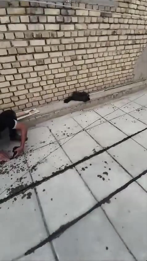 ***********
عاده ماستك نقلع القديم 
و نخلي جديد
