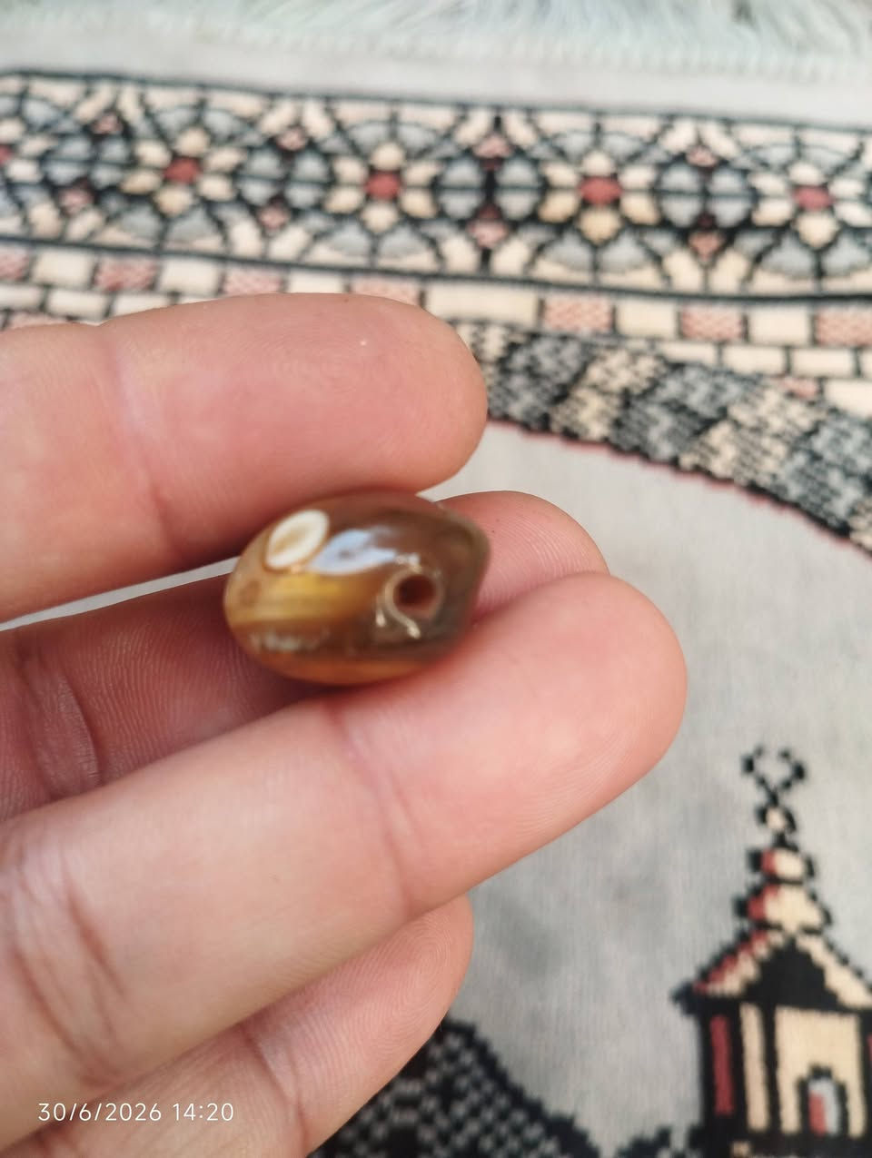 للاستفسار خاص


**إذا كنت صاحب هذا الإعلان وتريد حذفه لأي سبب، رجاءا أرسل رسالة إلى الدعم الفني**