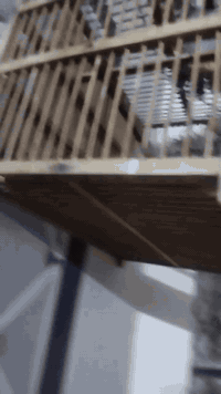 طور طايح للأخير حتى ياكل من الايد بغداد مدينه الصدر ***********
بدون قفص
