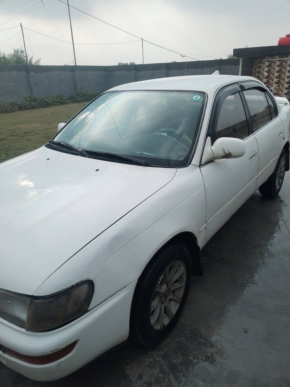 كورولا موديل ٩٣ رقم دولي بغداد بااسمي تحويل ثاني يوم تحوير إماراتي دشبول اصلي صبغ في بعض الإماكن السعر ٥٥ سياره جهازه تدفئه وتبريد اناره داخليه كهربائيات شغاله كله الاتصال على الرقم ***********
