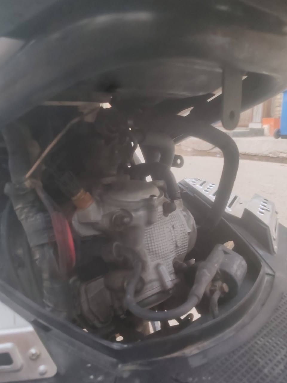 سلام عليكم سكنس جبلي للبيع نضيفه مكفوله مكاني مدينه الصدر سعر مليون وبيها مجال حك الجيه
رقمي ***********
