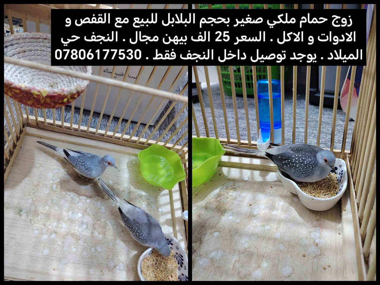 النجف حي الميلاد كلهن بيهن مجال . يوجد توصيل داخل النجف فقط . ***********
