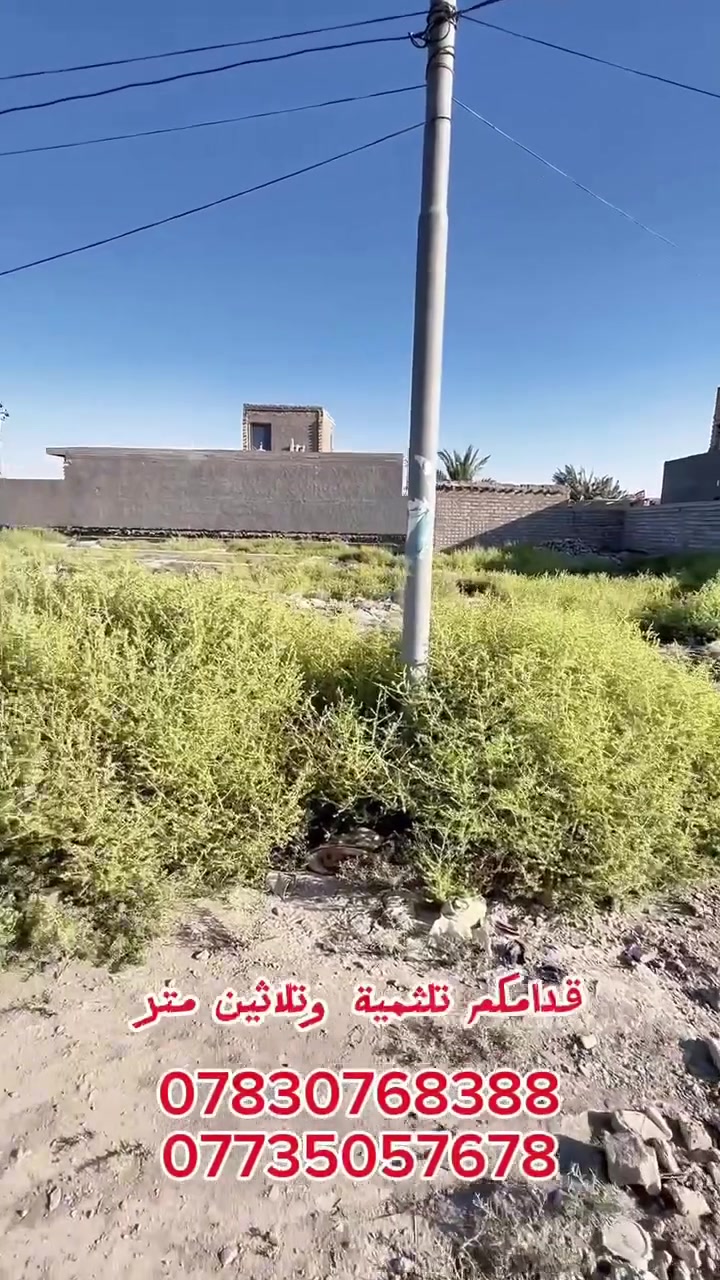 عرصه طابو زراعي كافة التفاصيل داخل الفيديو 
***********
***********
