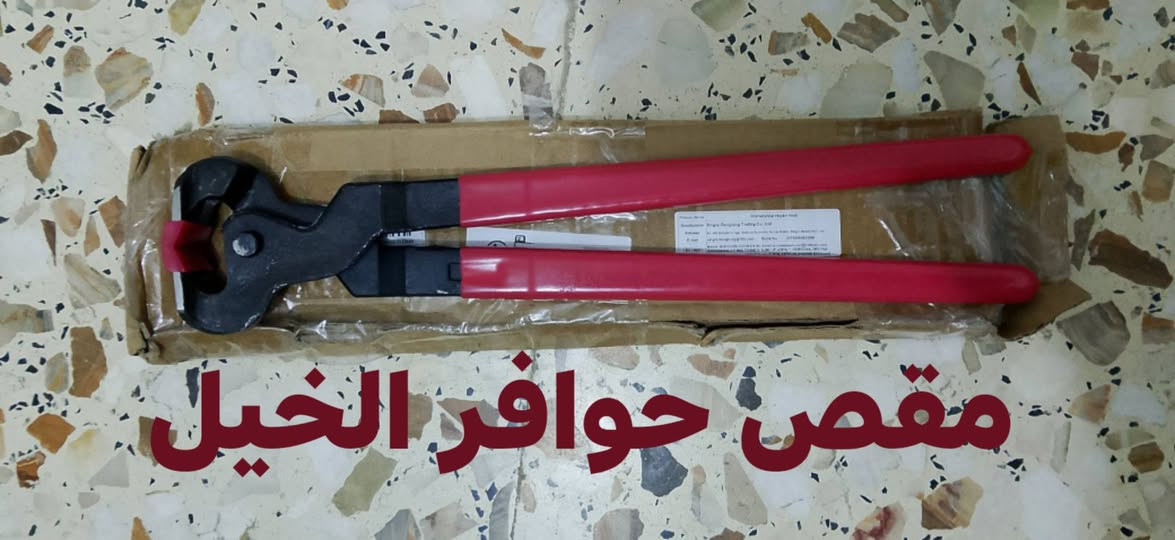 يوجد توصيل لجميع المحافظات


**إذا كنت صاحب هذا الإعلان وتريد حذفه لأي سبب، رجاءا أرسل رسالة إلى الدعم الفني**