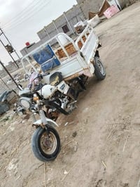 ستوتة • موديل ١٤ • قضاء البطحاء