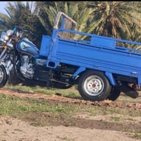 نبيل جرد • ٢٠٢٣ • وكيله