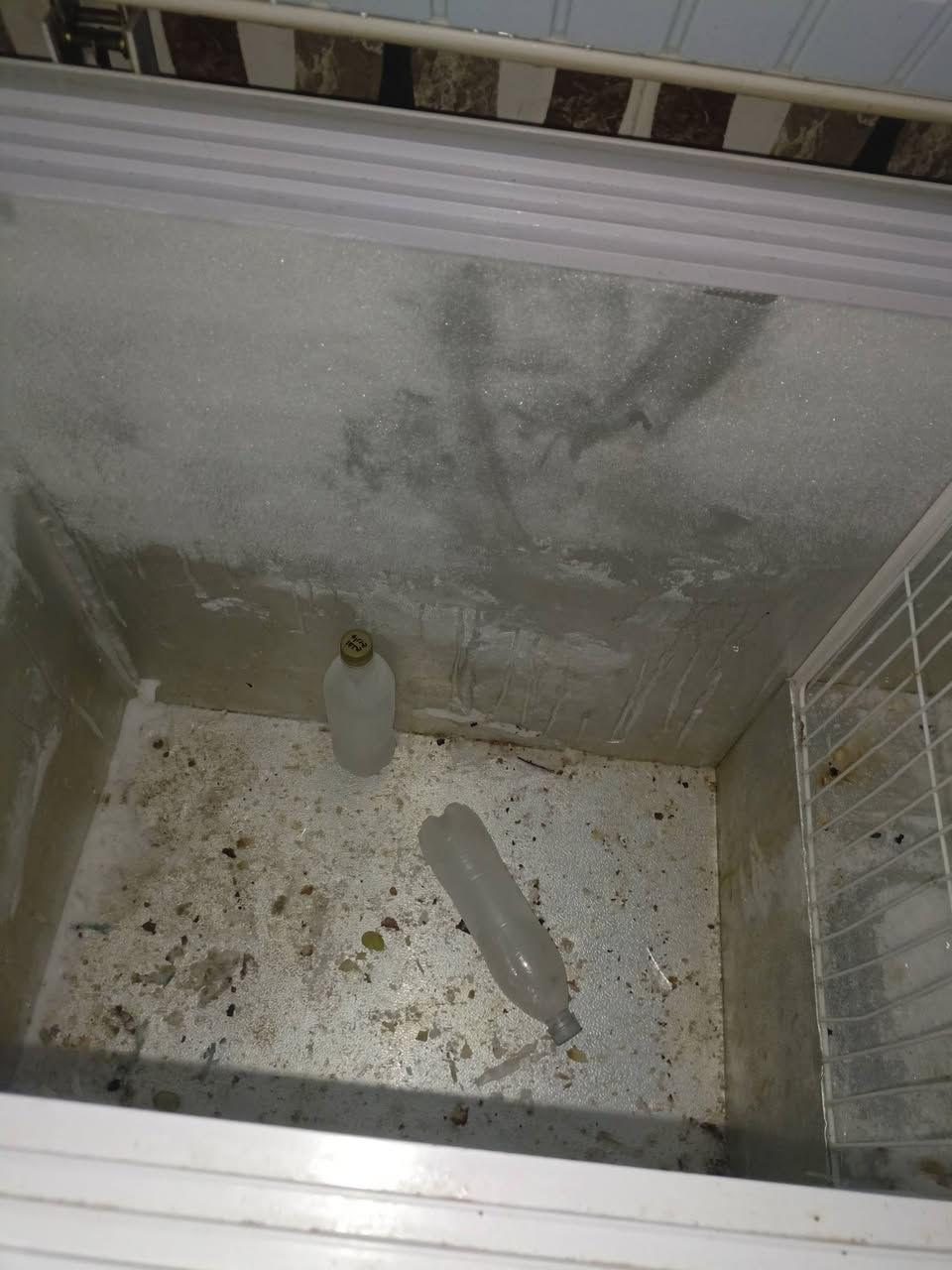 سلام عليكم مجمده للبيع سعره 225 بي مجال


**إذا كنت صاحب هذا الإعلان وتريد حذفه لأي سبب، رجاءا أرسل رسالة إلى الدعم الفني**