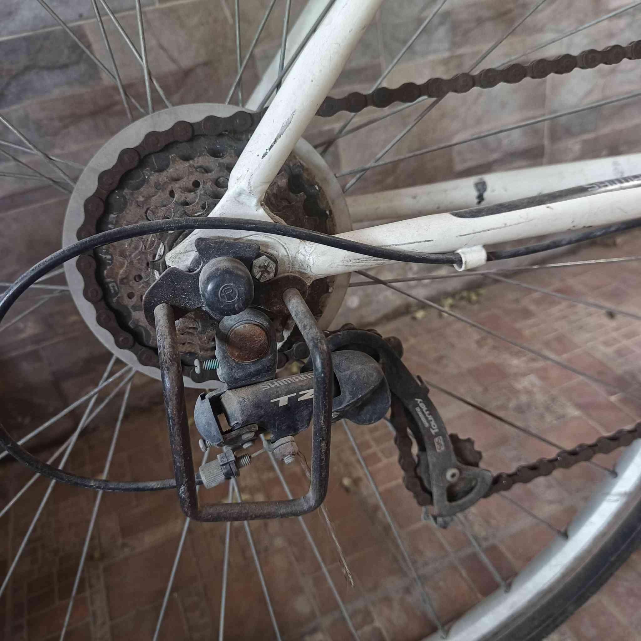 السلام عليكم للبيع حجم 700 c قياس 28 مال بالة  نظيف وجاهز ركبة عريضة 7 سرع السعر 125 الف وبي مجال بسيط الاتصال ***********
