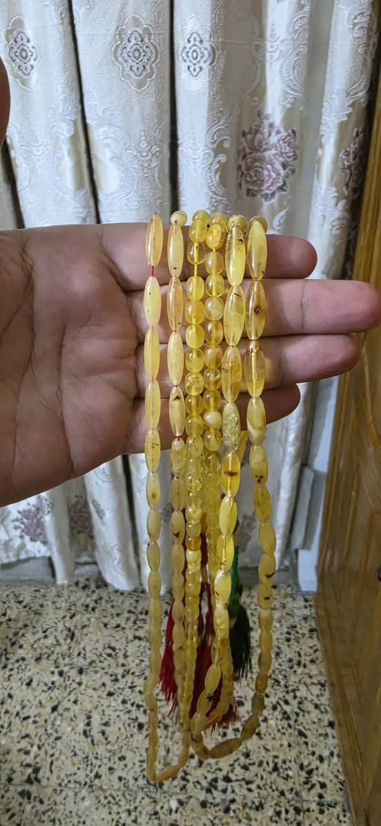 ثلاثه مسابح كهرب بولندي سوبر 
كبسولي + بيض حمام للبيع السعر مناسب مكاني بغداد
***********
