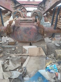 شاصي • مديل ٧٥ • كلاب بلادي