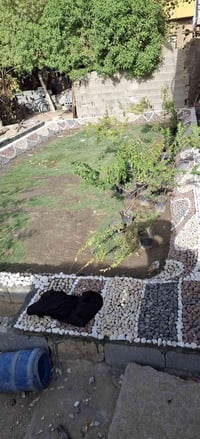 طريق يا حسين • ١٠٠٠م • اجازة بناء