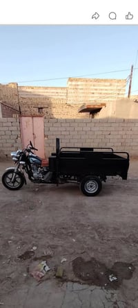 ستوتة • موديل 25 • مكفولة
