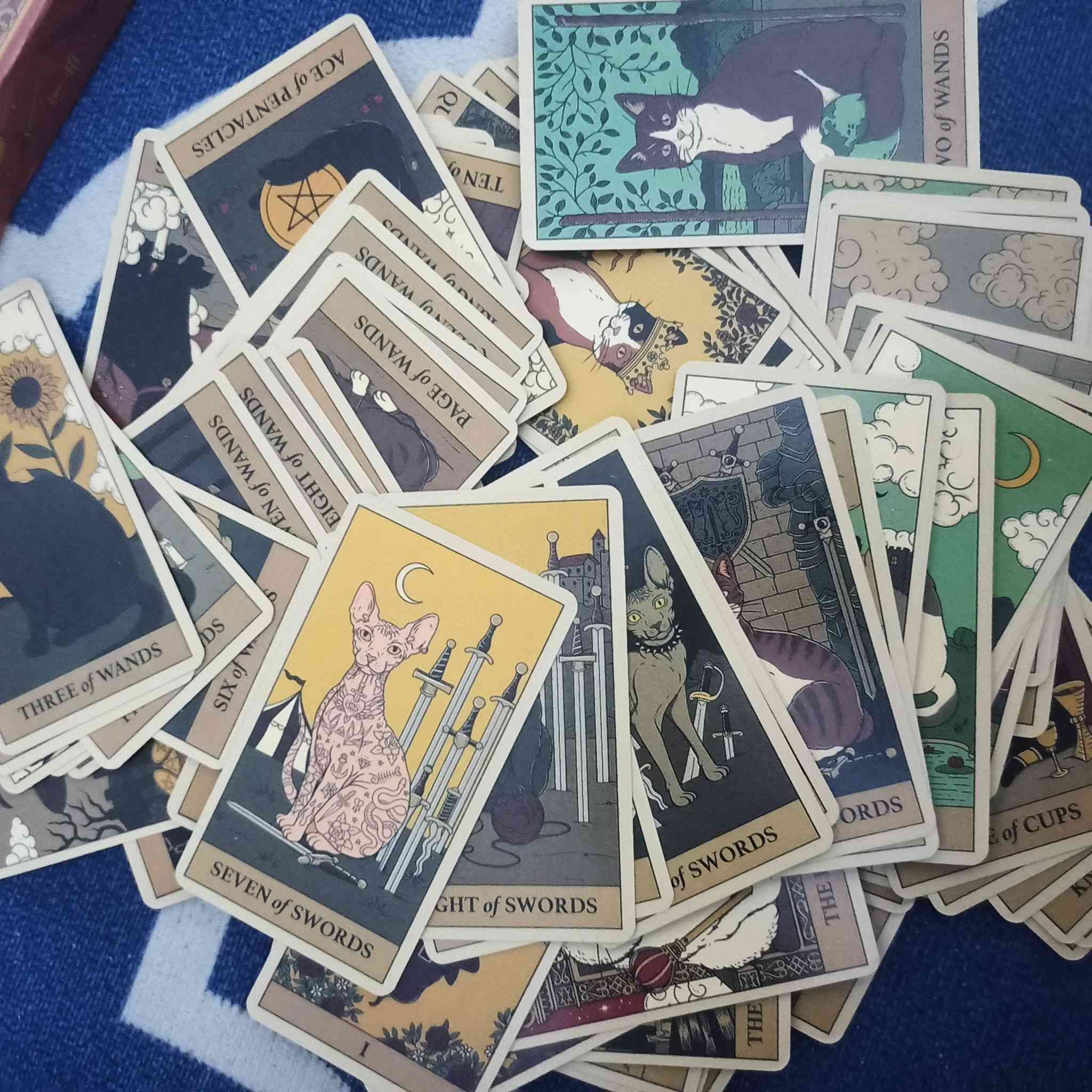 سلام عليكم ٢٣ باكيت كل باكيت بيه ١٠٠ صورة كله بزازين


**إذا كنت صاحب هذا الإعلان وتريد حذفه لأي سبب، رجاءا أرسل رسالة إلى الدعم الفني**