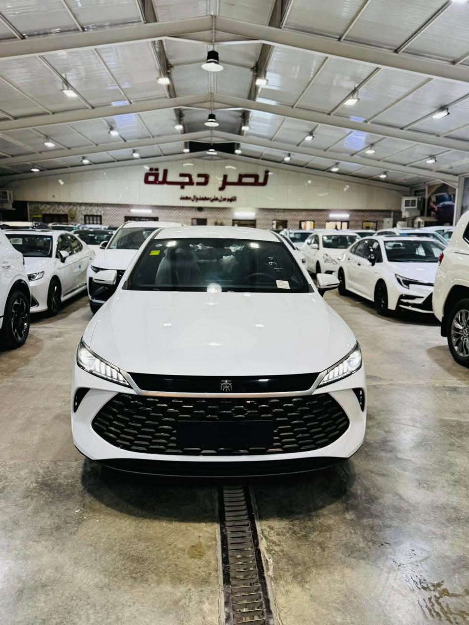 السعر ناررر🔥🔥🔥

BYD  QIN  PLUS

السعر غير شامل  اللوحات  المروريه ☑️
بسعر خاص وحصري 18,350,000 دع

اليكم التافصيل 

المواصفات 
♣️خليجي 
♦️زيرو
♠️موديل 2025
♦️حساسات خلفيه
♣️حجم المحرك 1,5L
♦️شاشه اصليه + دواره
♠️كامره خلفيه
♦️هند بريك كهرباء
♣️اوتو هولد
♦️مفتاح التشغيل بصمه
♠️تحكمات مقود
♦️مقول جلد حياكه 
♣️دخول ذكي
♦️اشاير بل مري
♠️المقاعد جلد
♦️ اناره داخليه LED
♣️ لد امامي LED
♦️بك لايت LED
♠️قطعتين تبريد
♦️كروس سرعة
♠️حجم الاطار 16
♦️مانع تزحلق

نتعامل❗️( بيع - شراء - مراوس -تسليم فوري )

عنوان الشركة📍.. بغداد - الكرادة قرب ساحة كهرمانة مقابل مصرف ايلاف الاسلامي.

اوقات الدوام جميع ايام الاسبوع 
من الـ10 صباحاً الى الـ10 مساءً  

للاستفسار يرجى الاتصال على الارقام الاتية ☎️:

☎️***********
***********
اخوكم ابو فهد 

☎️ نصر ابو محمد
( *********** )
ولاتنسى اذا حبيت تستبدل سيارتك القديمه بسيارة جديدة يتوفر نظام الاستبدال بين القديم والجديد  وبخدمتكم
