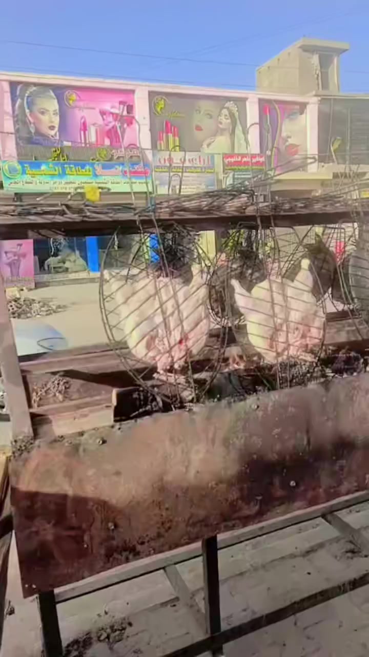 السلام عليكم عروظنا إلى يوم  جمعه يوجد سمك من الكيلو إلى ٤كيلوو السعرر اب ٤٥٠٠المكان بابل فظاء جبله شارع المستشفى غرب مشتل كوثى مكتب اسماك الأخوين ***********
