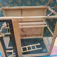 قفص بلابل • بابل القاسم