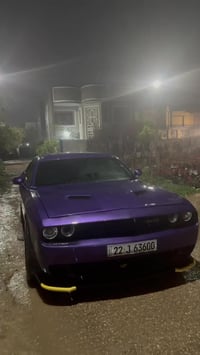 جالنجر بنيد وجاملغ مديل 19 155  07811136598