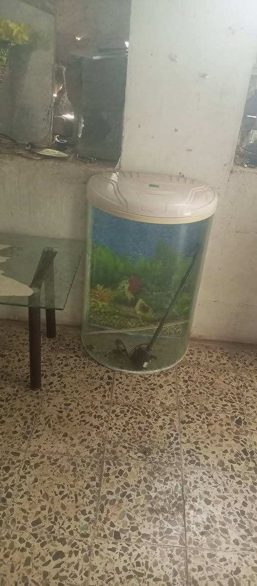 سلام عليكم غراض منازليه مستعمله اخو الجديد للبيع ومراوس ونشتري العنوان خانقين للستفسار اتصل عل رقم واتساب او عل خاص ***********🌷🌷🌷🌷🌷🌷🌷🌷🌷 خناقين, ديالى
