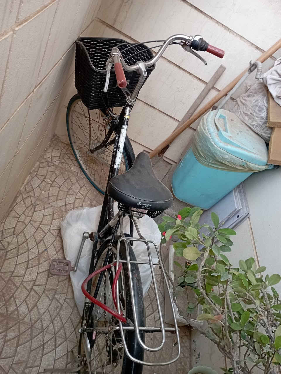 بايسكل البيع حجم 26 اي عطل  مابي بس بنجر واهيه  السعر 40 مستعجل على  بيعته


**إذا كنت صاحب هذا الإعلان وتريد حذفه لأي سبب، رجاءا أرسل رسالة إلى الدعم الفني**