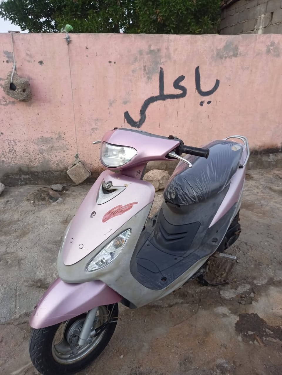 سلام عليكم قجمه لبيع مكفوله كفاله جيب مصلح وتعال فحص ختم واحد ويا لمكينه حته قبق بانزين ختم واحد يابانيه أصل كابريته ما فاتح الله شاهد مكاني بصره قبله حي جامعه*********** دراجه صارله قل شهر نازله رمبه وصله موجود
