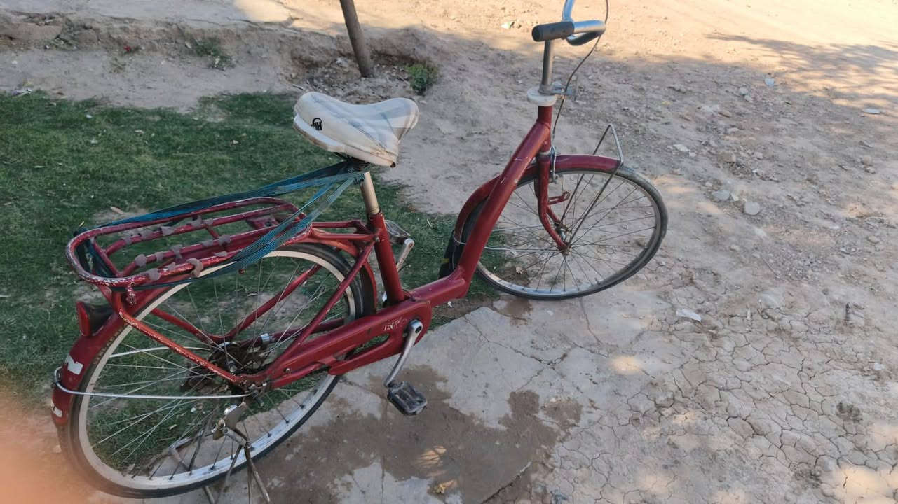 للبيع بعقوبة 60


**إذا كنت صاحب هذا الإعلان وتريد حذفه لأي سبب، رجاءا أرسل رسالة إلى الدعم الفني**