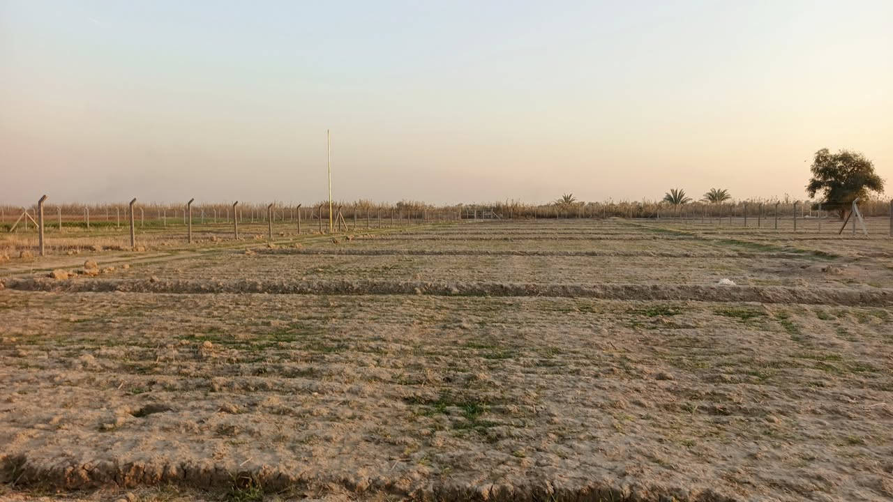 يا الله سلام عليكم دونم البيع طابو سند ٢٥ خدمات كامله العنوان المدائن منطقة جعاره الاستفسار اتصال برقم ***********
