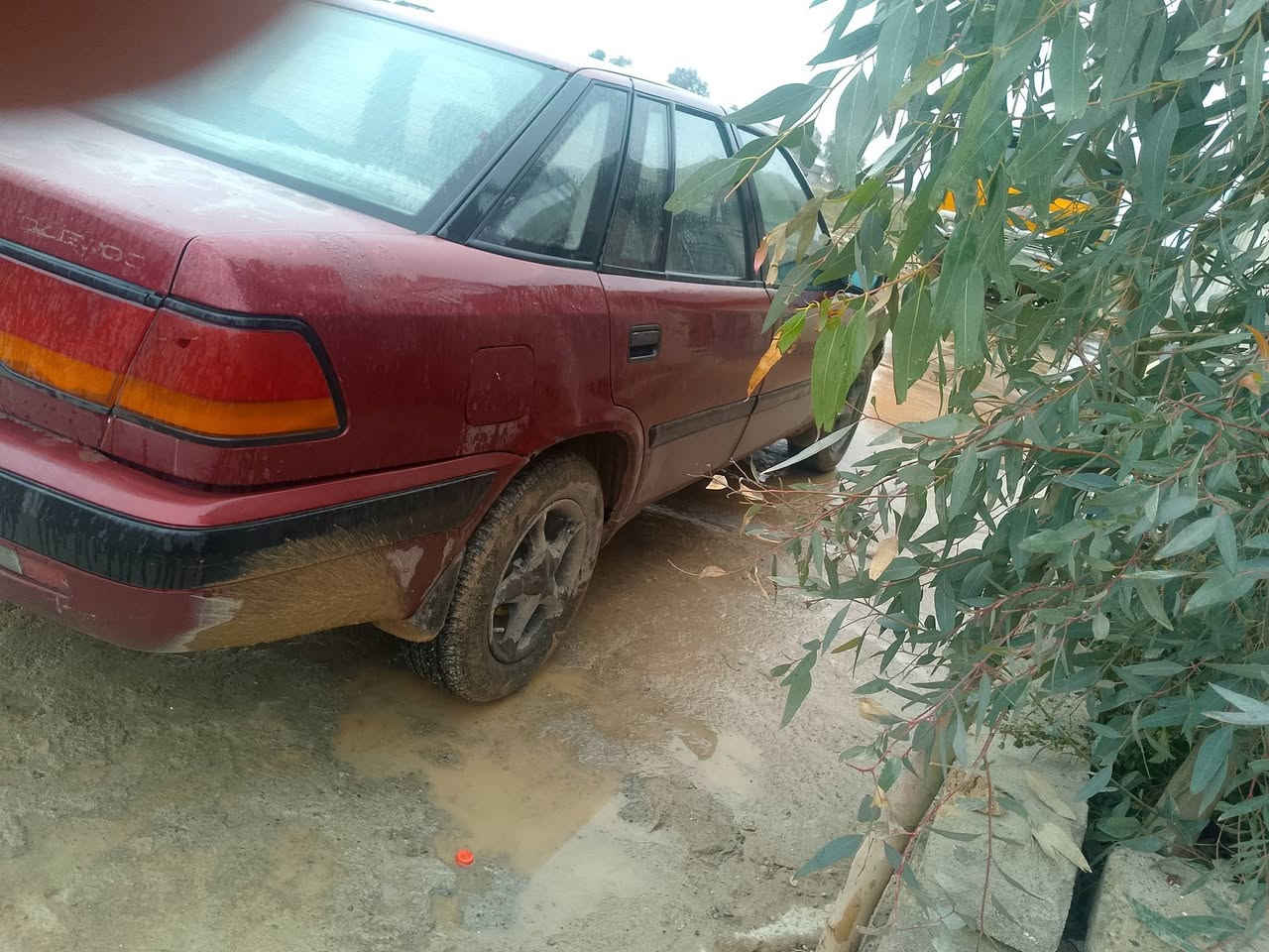 دايو موديل 96 معامله كامله شرط التحويل من الشرعي السعر الشين بها مجال ***********
