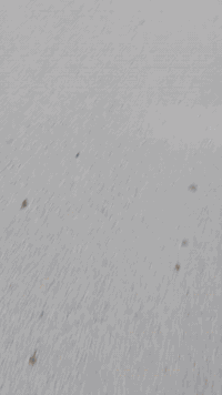 أوباما 12 محدثة السيارة تعمير جديد ماعايزة برغي بدون ارباك الاستفسار فقط الاتصال على الرقم ***********.  لاخاص ولا تعليق
